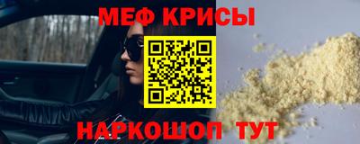 стаф Гатчина