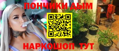 стаф Гатчина
