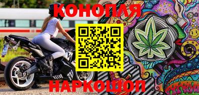 стаф Гатчина