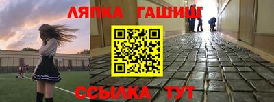 стаф Гатчина