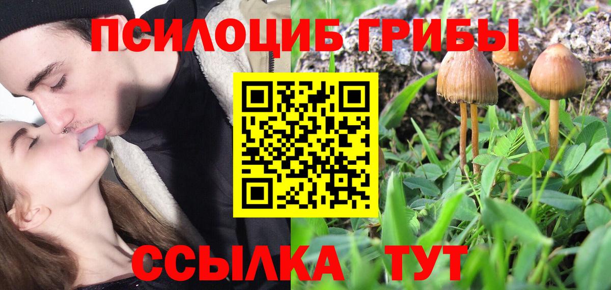 Бийск  Галлюциногенные грибы Psilocybine cubensis  Псилоцибиновые грибы GOLDEN TEACHER  Вход с VPN 