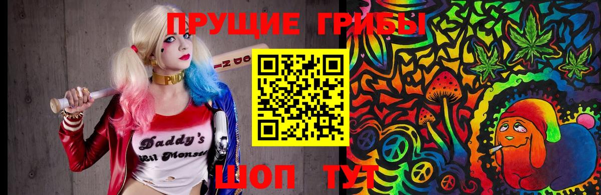 Галлюциногенные грибы Psilocybe Бийск